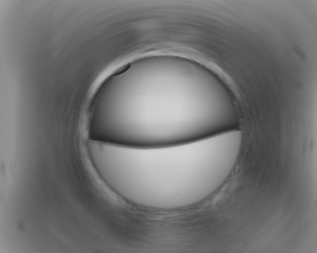 X0000114621522200910200951