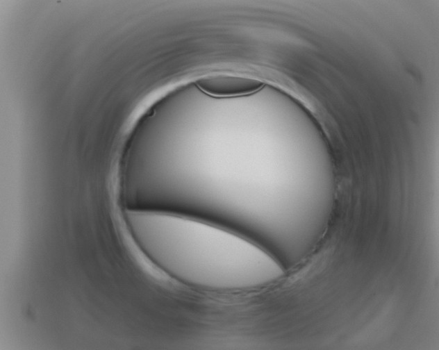 X0000114621523200910200951