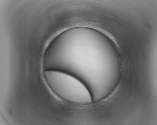 X0000114621525200910200951