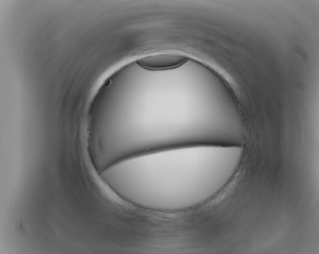 X0000114621526200910200951