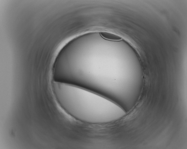X0000114621527200910200951