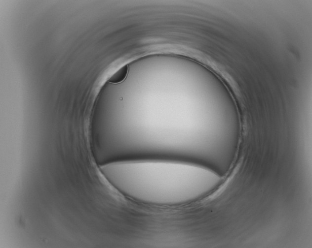 X0000114621529200910200951