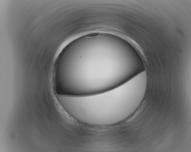 X0000114621530200910200951