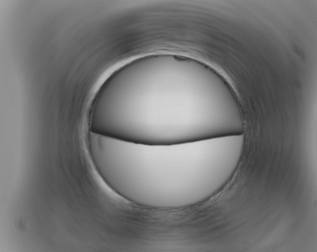 X0000114621531200910200951