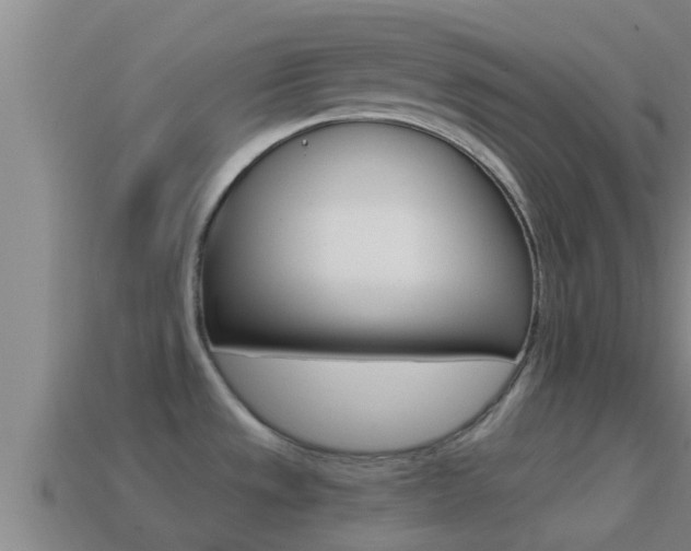 X0000114621533200910200951