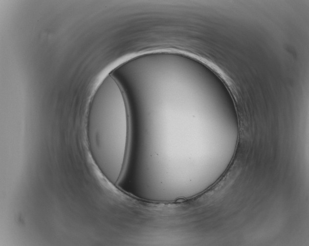 X0000114621534200910200951