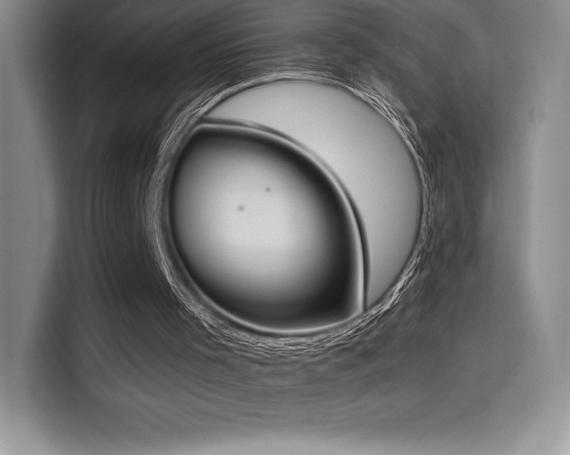 X0000114620001200910201142