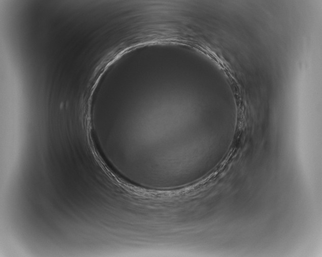 X0000114620002200910201142