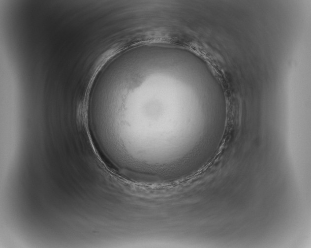 X0000114620003200910201142