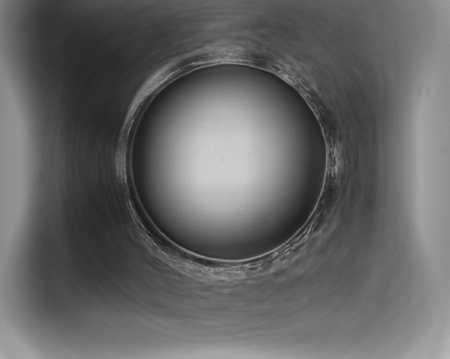 X0000114620004200910201142