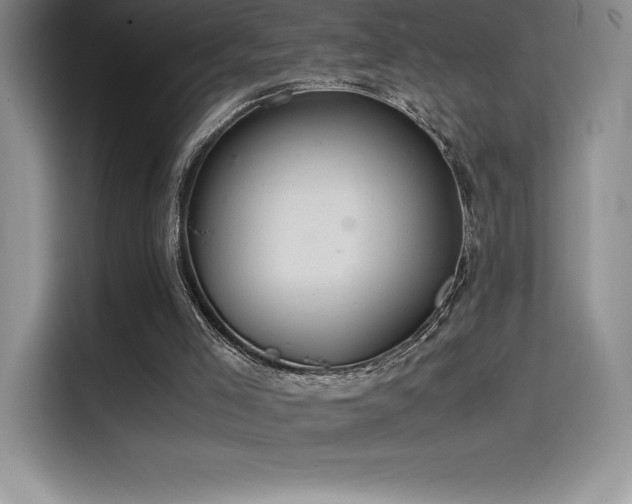 X0000114620005200910201142
