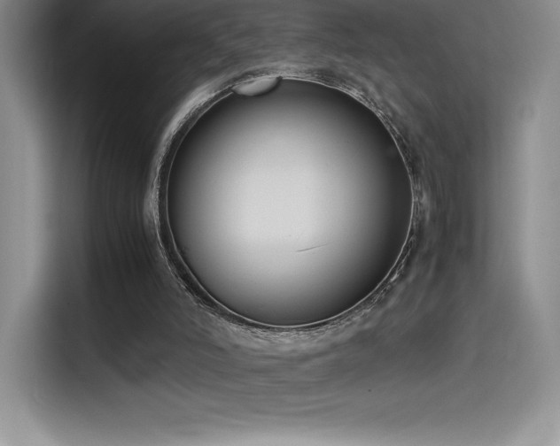 X0000114620006200910201142