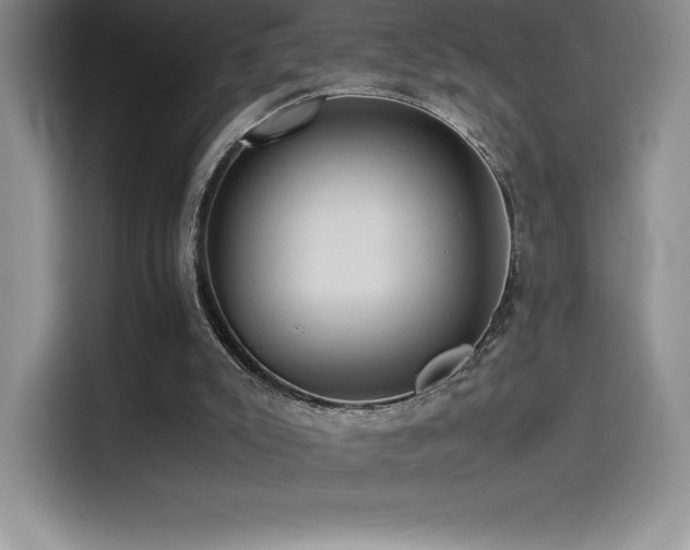 X0000114620007200910201142