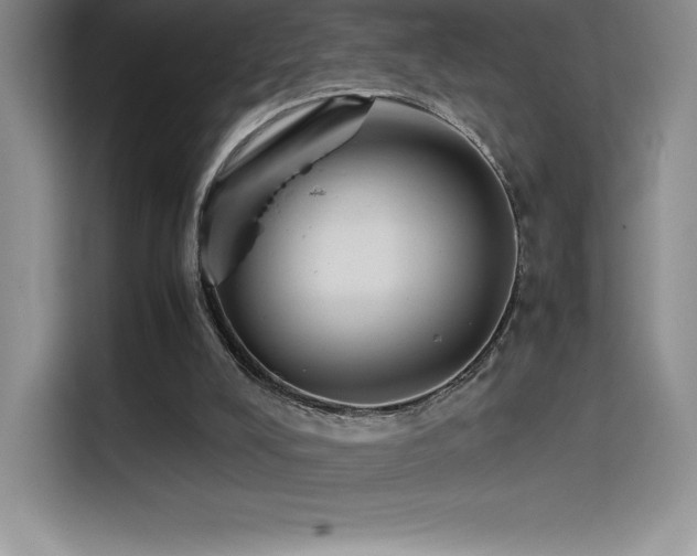 X0000114620008200910201142
