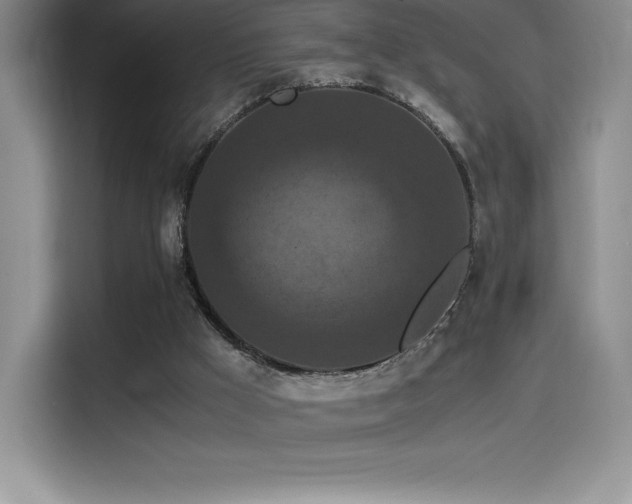 X0000114620009200910201142