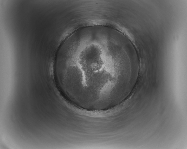 X0000114620010200910201142