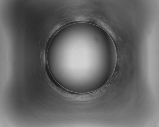 X0000114620011200910201142