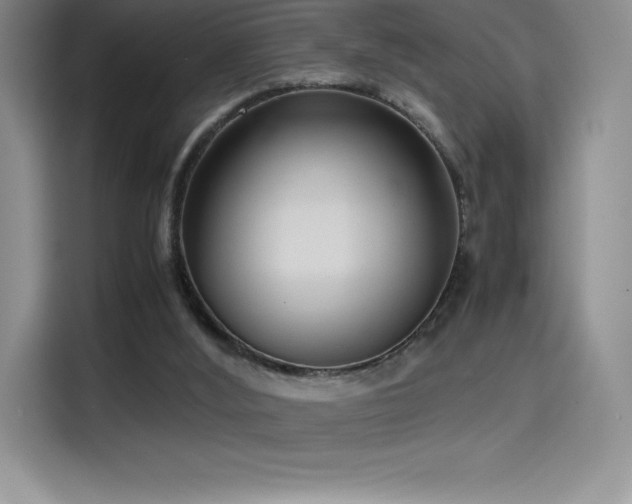 X0000114620012200910201142