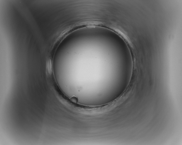 X0000114620013200910201142