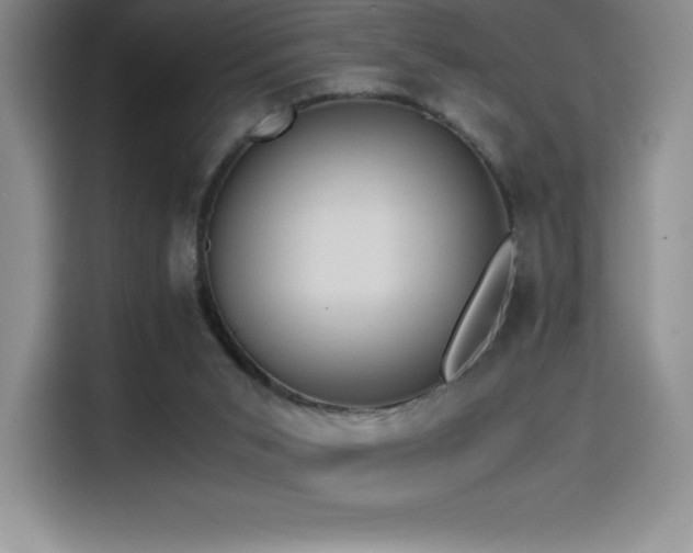 X0000114620015200910201141