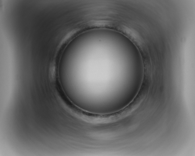 X0000114620016200910201141