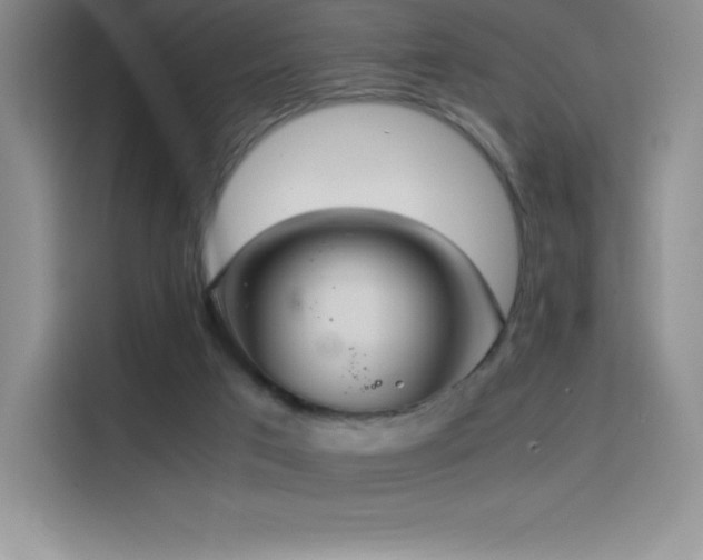 X0000114620017200910201141