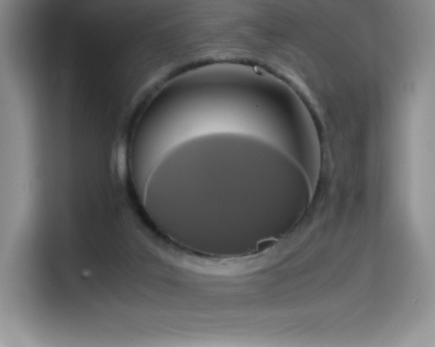 X0000114620019200910201141