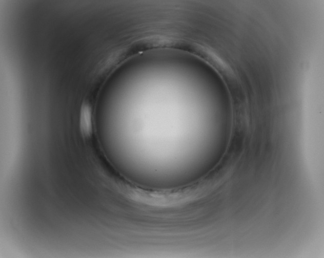 X0000114620022200910201141