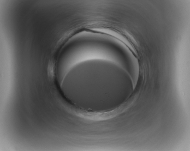 X0000114620023200910201141