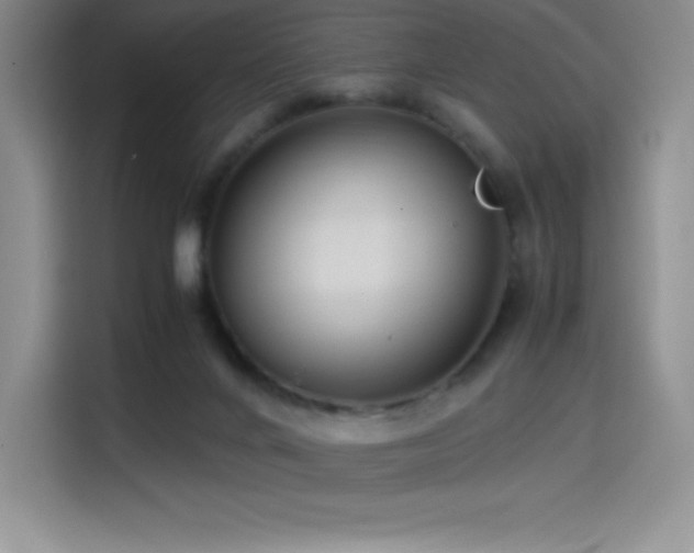 X0000114620024200910201141