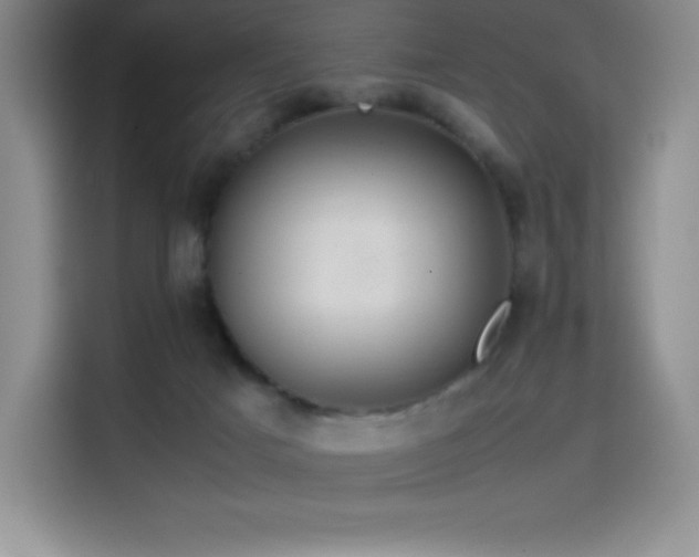 X0000114620025200910201141