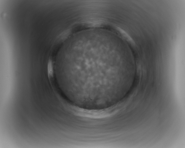 X0000114620026200910201141
