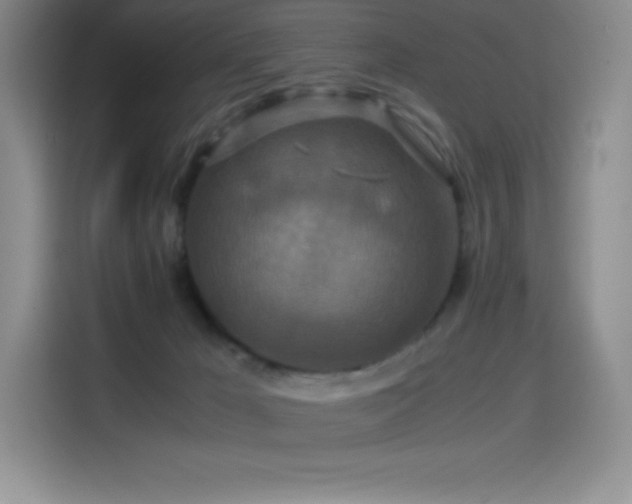 X0000114620029200910201141