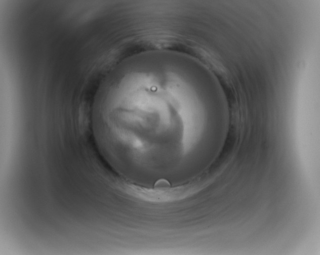 X0000114620030200910201141