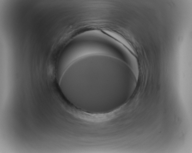 X0000114620031200910201141