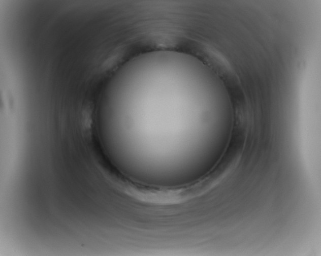 X0000114620032200910201141