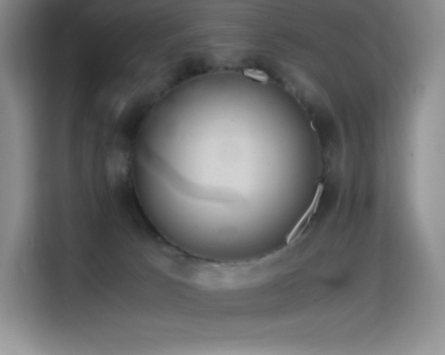 X0000114620033200910201141