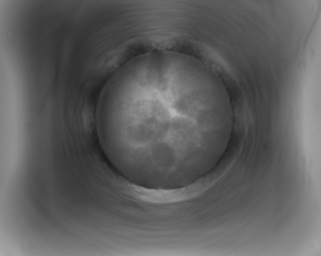 X0000114620034200910201141