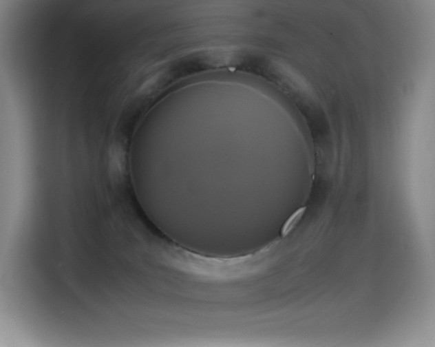 X0000114620035200910201141
