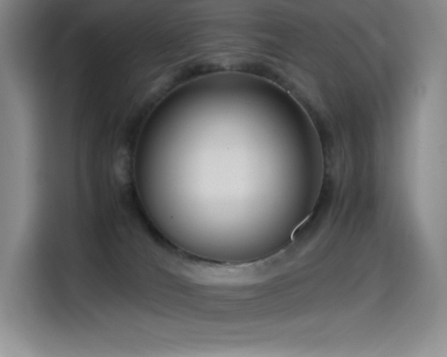 X0000114620036200910201141