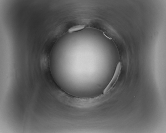 X0000114620037200910201141