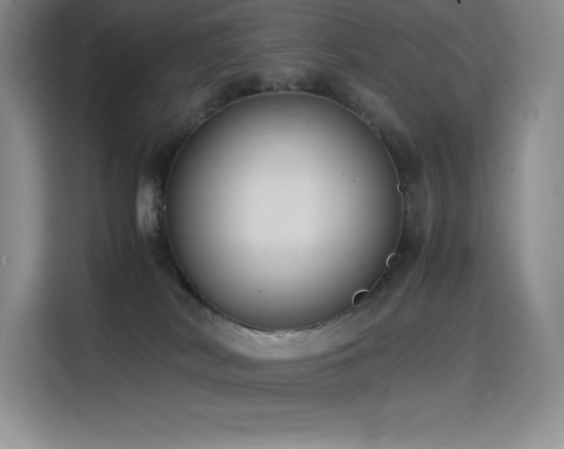 X0000114620038200910201141