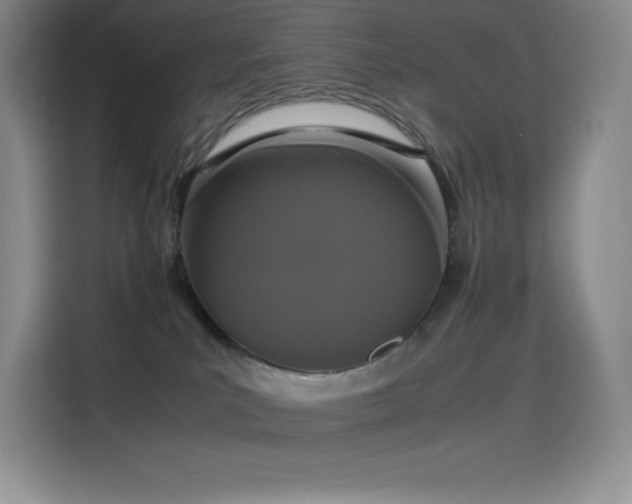 X0000114620039200910201141