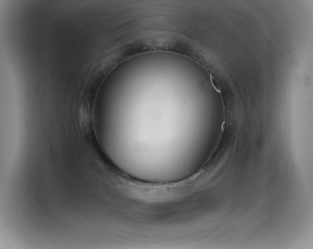 X0000114620040200910201141