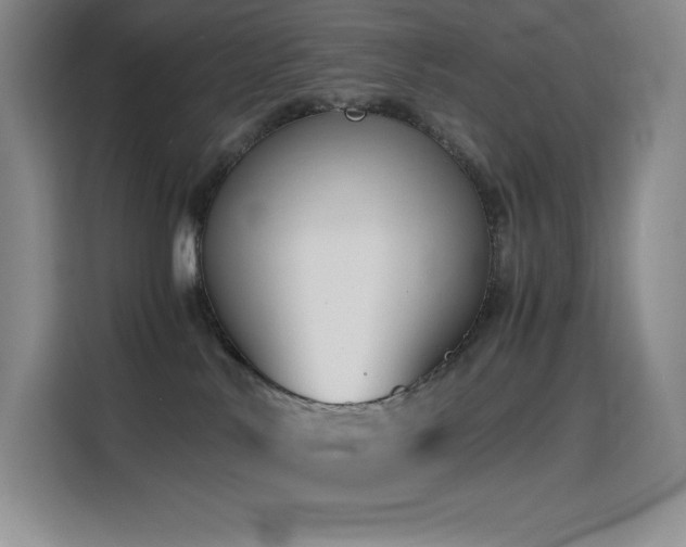 X0000114620042200910201141