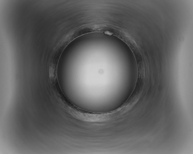 X0000114620044200910201141