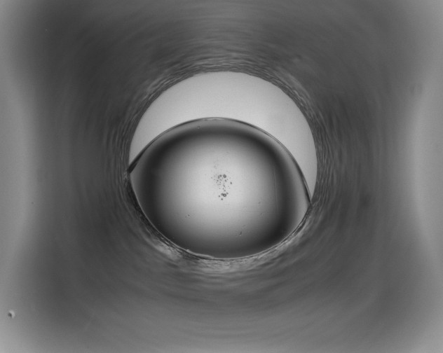 X0000114620045200910201141