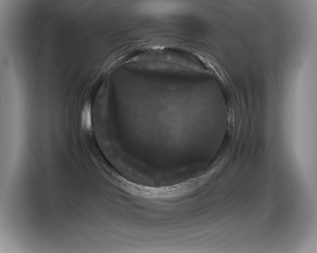 X0000114620046200910201141