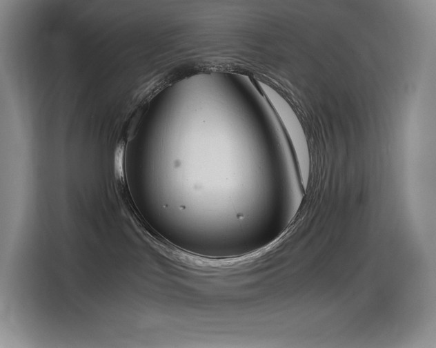 X0000114620047200910201141