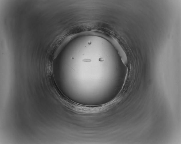 X0000114620048200910201141